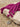 Megenta | LONG LACES