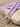 Neon Lilac | LONG LACES